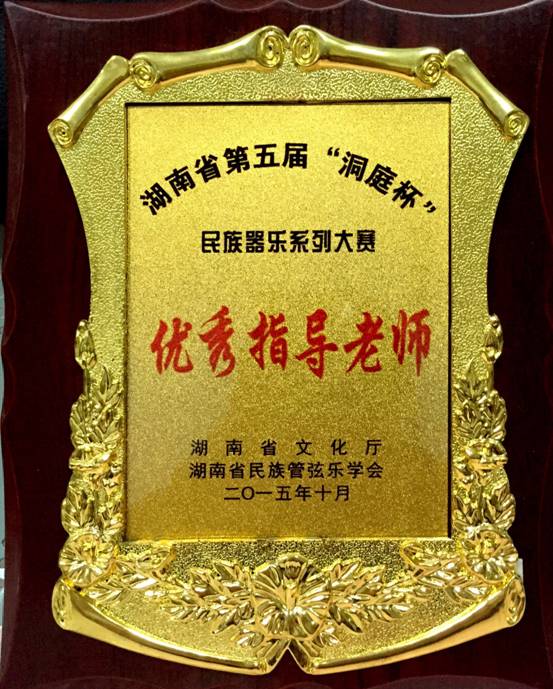 2015省“洞庭杯”获优秀指导教师.jpg